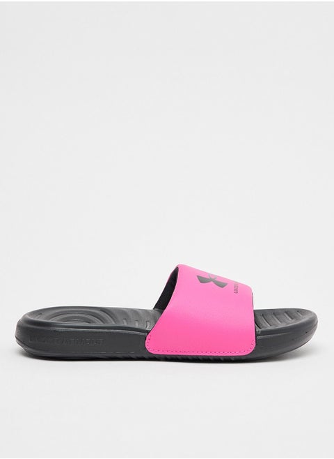 Ansa Fixed Slides