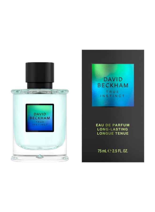 DAVID BECKHAM - David Beckham True Instinct Eau de Parfum 75ml - Image 1
