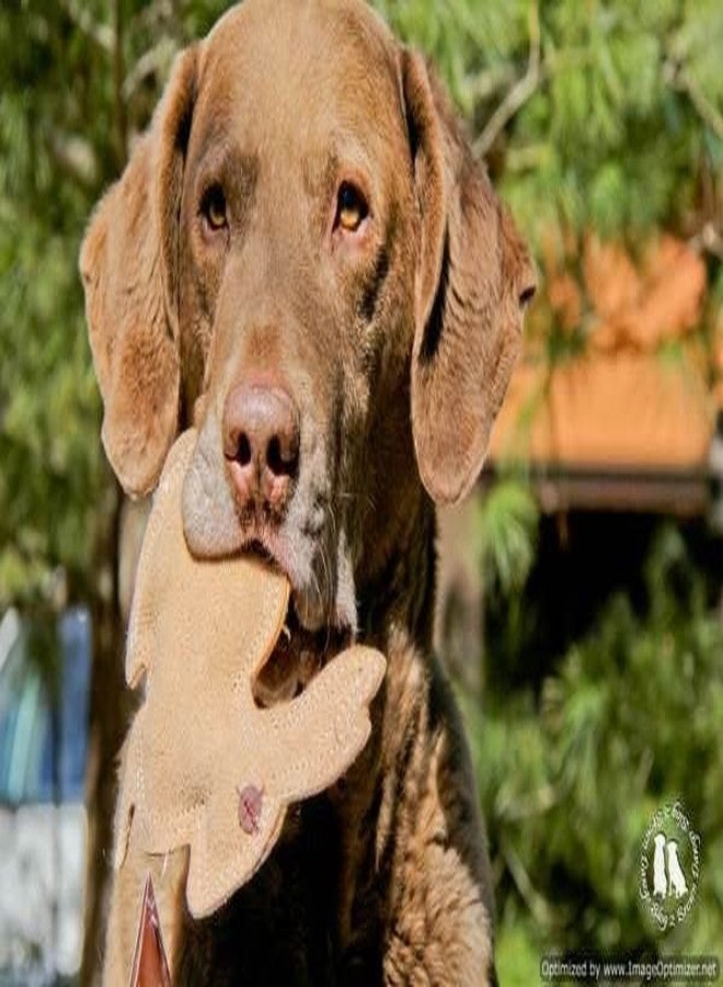 سبوت جلد أرنب متين - Image 4