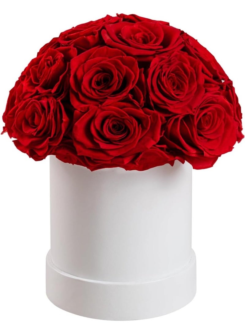 LATIFA 18 Artificial Scented Red Roses in Round Dome Shape Gift Box, Forever Flowers - Image 1