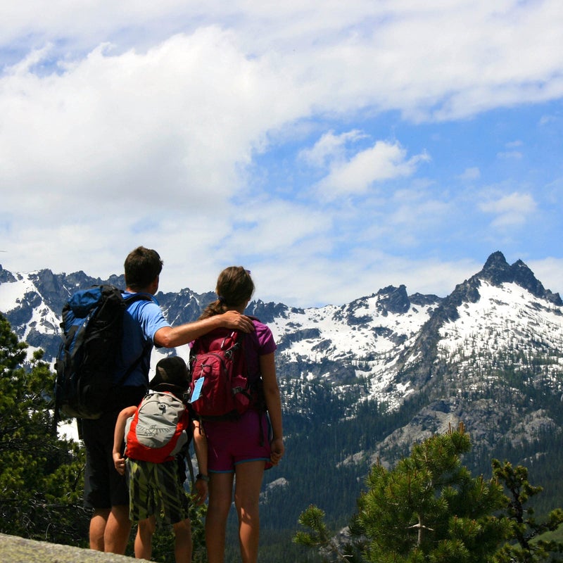 Badger Highland Mint Classic Lip Balm - 0.15oz Stick - Image 5