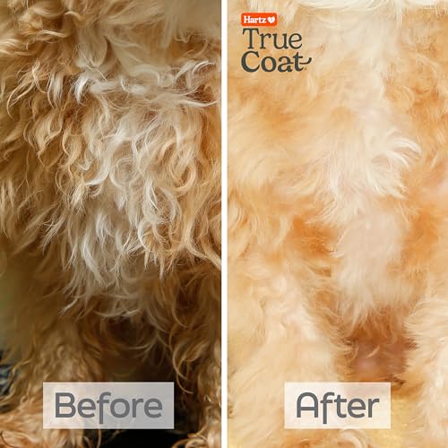 Hartz True Coat Curly or Wavy Coat Specific Dog Shampoo, Detangles & Conditions with Oat Milk, Coconut Oil & Shea Butter - Image 5