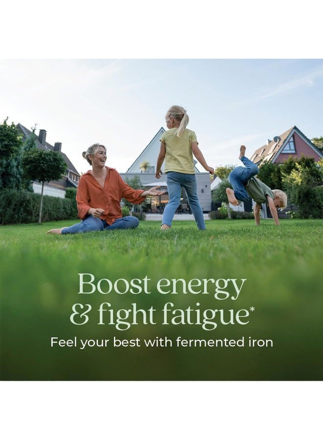 New Chapter Iron Supplement, Whole-Food Fermented Iron Complex Made with Organic Vegetables & Herbs + One Daily Non-Constipating Dose- 60ct, 2 Month Supply - Image 3