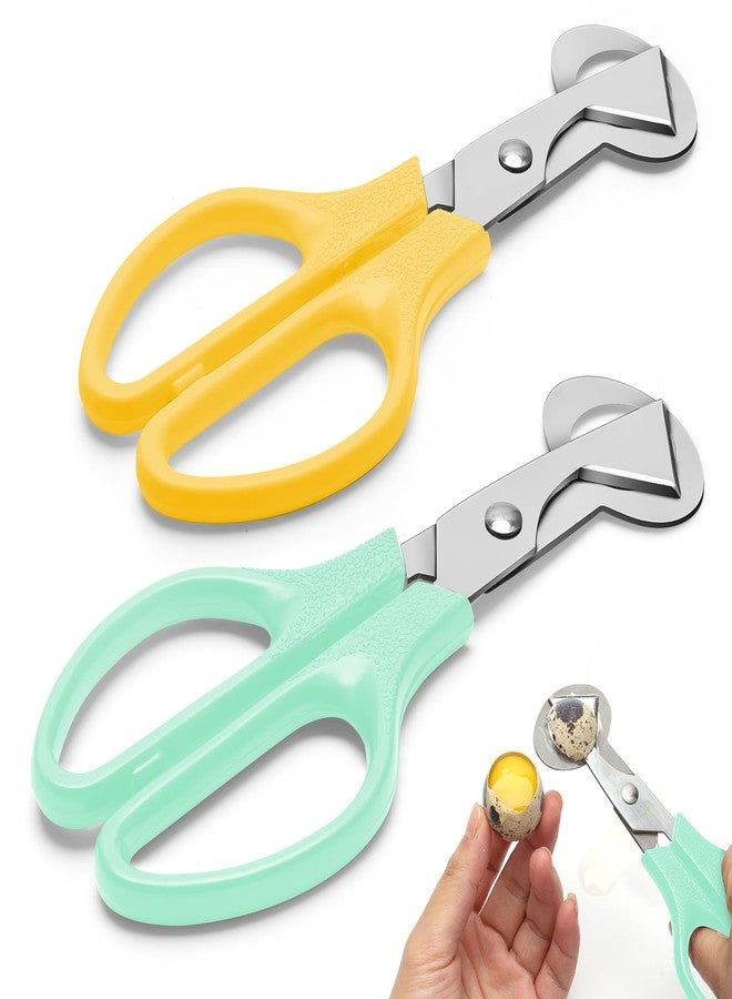 AHIER Pigeon Quail Egg Cutter Scissors Stainless Steel Blades Bird Cutter 2 Pack - Image 1
