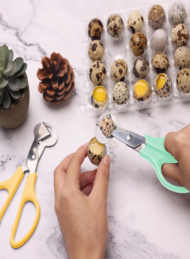AHIER Pigeon Quail Egg Cutter Scissors Stainless Steel Blades Bird Cutter 2 Pack - Image 2