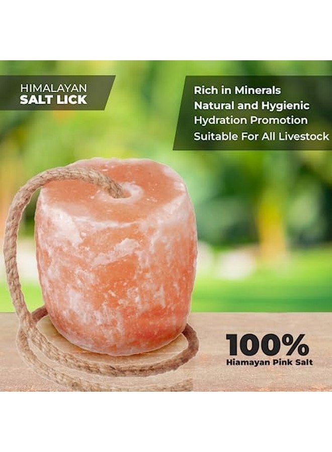 100% Himalayan Salt Lick for Horses- Pack of 3 Licking Salt Block for Animals with Minerals, 5 Lbs Salt Licks for Cows, Goats, Deer, Cattles & on Rope