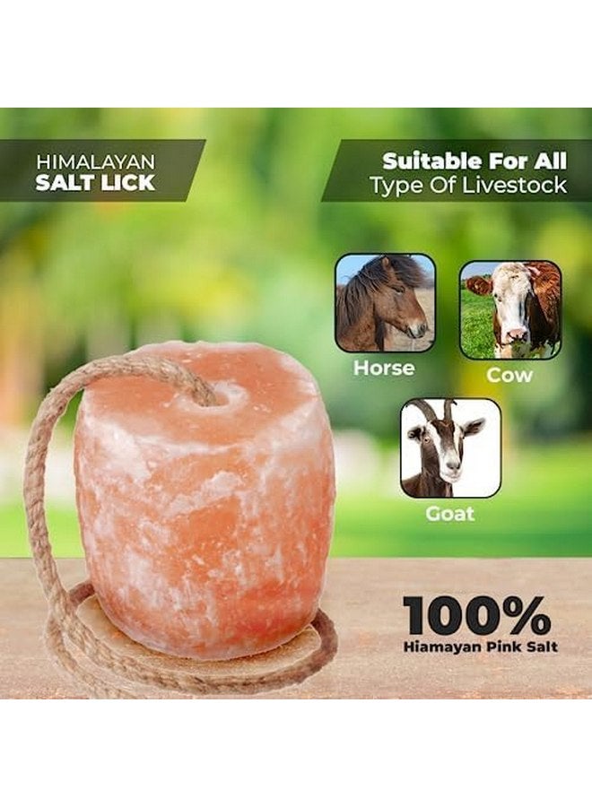 100% Himalayan Salt Lick for Horses- Pack of 3 Licking Salt Block for Animals with Minerals, 5 Lbs Salt Licks for Cows, Goats, Deer, Cattles & on Rope