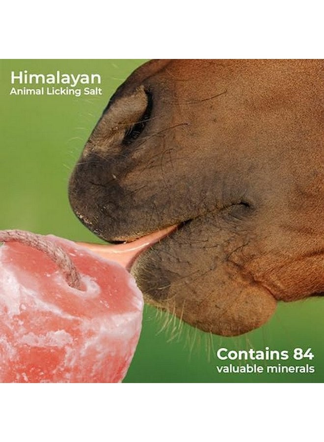 100% Himalayan Salt Lick for Horses- Pack of 3 Licking Salt Block for Animals with Minerals, 5 Lbs Salt Licks for Cows, Goats, Deer, Cattles & on Rope
