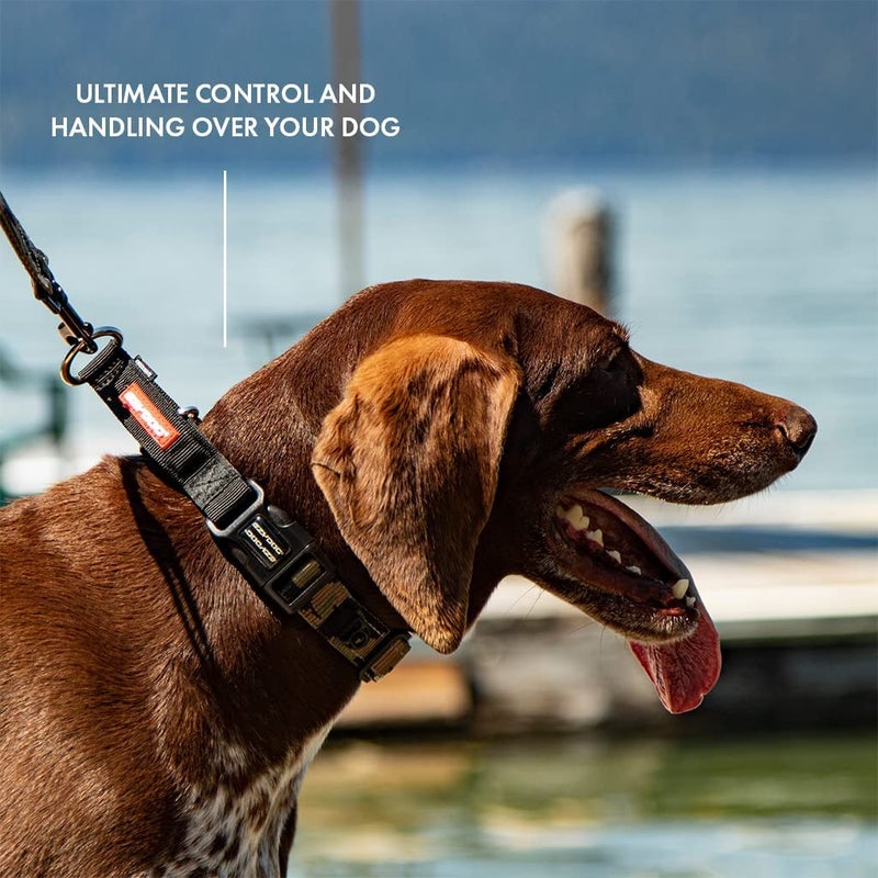 EzyDog Checkmate Martingale Collar for Dogs â€“ Premium Nylon Training Dog Collar for Easy Control with no Choking (Medium, Green Camo) - Image 5