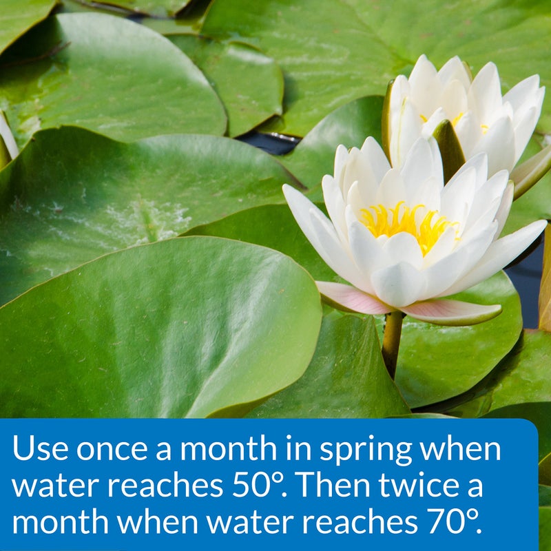 API PONDCARE AQUATIC PLANT FOOD TABLETS Potted Plant Fertilizer 3.8-ounce, 25 Tab (185A) - Image 3