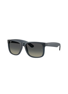 Ray-Ban 0Rb4165 Square Sunglasses  - Image 1