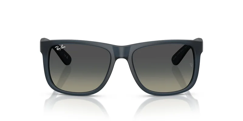 Ray-Ban 0Rb4165 Square Sunglasses
