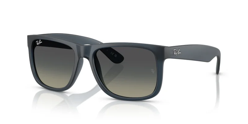 Ray-Ban 0Rb4165 Square Sunglasses