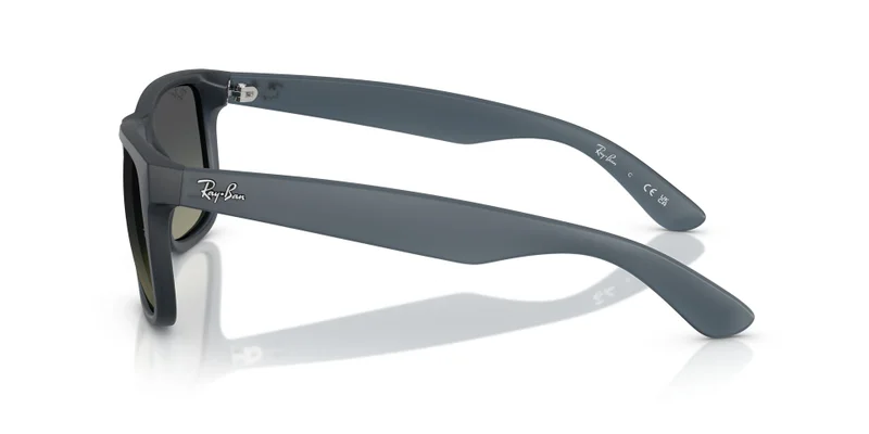 Ray-Ban 0Rb4165 Square Sunglasses