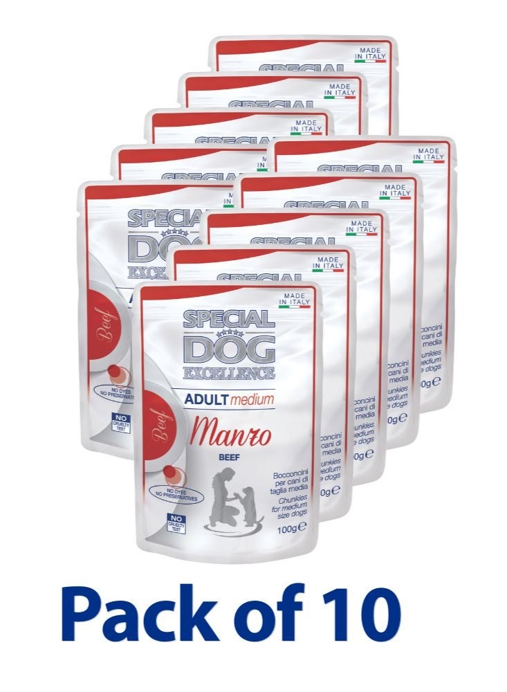 Special Dog Excellence by Monge | Adult Medium Dog Wet Food | with Tasty Beef Chunkies in Sauce | Supports Hydration & Palatability | 100g Pouch | Made in Italy | Pack of 10