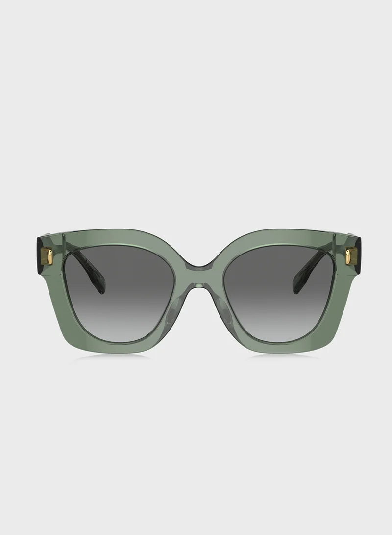 توري بورش 0Ty7201U Square Sunglasses