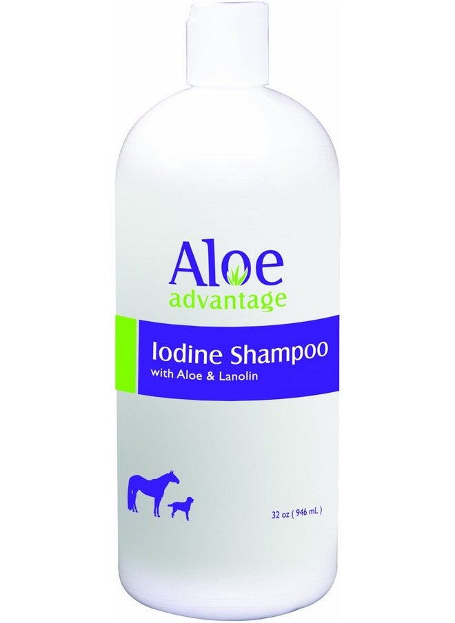 Aloe Advantage Aloe Iodine Shampoo, 32-Ounce - pzsku/ZCB2CB7292B1952CEC866Z/45/_/1737032176/35e0de30-1aa8-4a68-b46a-5d69b09b152e