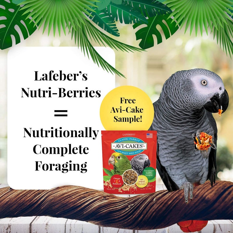 LAFEBER'S Nutri-Berries Pet Bird Food Variety Sampler Bundles, Made with Non-GMO and Human-Grade Ingredients, for Parrots, 10 oz. Each (4 Pk Bundle) with Free Avi-Cake Sample - Image 2