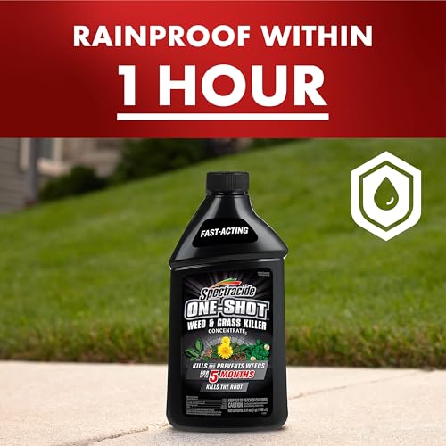 Spectracide One-Shot Weed & Grass Killer, 32 Ounce Concentrate, One Application Kills and Prevents Weeds for up to 5 Months - Image 4