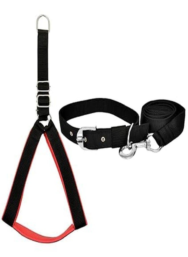 SMART DOGGIE Combo of Dog Chest Belt, Collar,Lead Stylish and Adjustable for All Dog Breed Helps in Walking and Training for Your Beloved Ones (Medium Size, Black)
