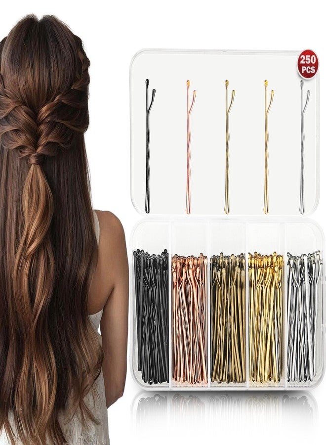 Sanas (250Pcs) Hair Pins For Women Wedding Hair Clips For Hair Styling Hair Pins For Girls Bobby Pins For Hair Stylish U Pin For Women Daily Use (250Pcs)(Bronze Gold Silver Brown Black) - Image 1