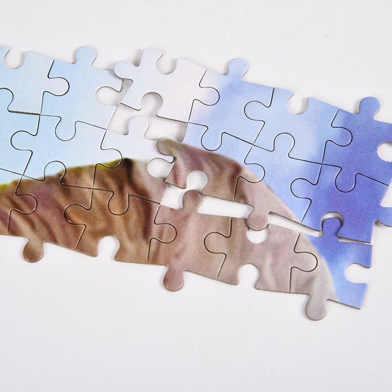 1000 Piece Jigsaw Puzzles Large Challenging Puzzle Educational Intellectual Puzzles Fun Game for Adult Teens Kids Families - Image 4