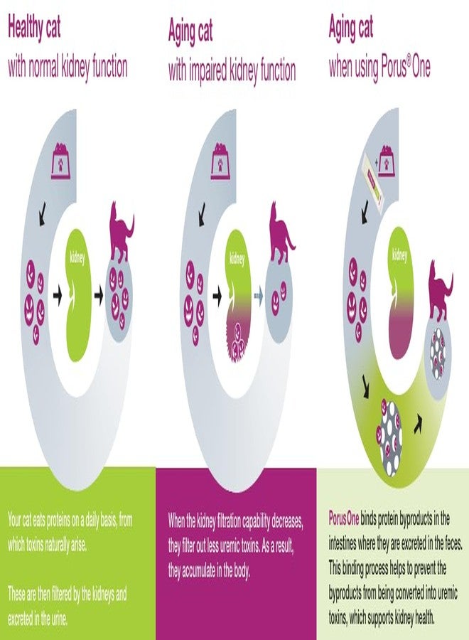 بوروس وان، 500 ملغ، 30 قرصًا - Image 3