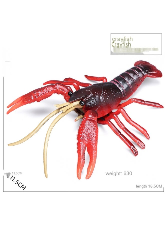 NIBEMINENT Best-Selling Realistic Miniature Crawfish Model