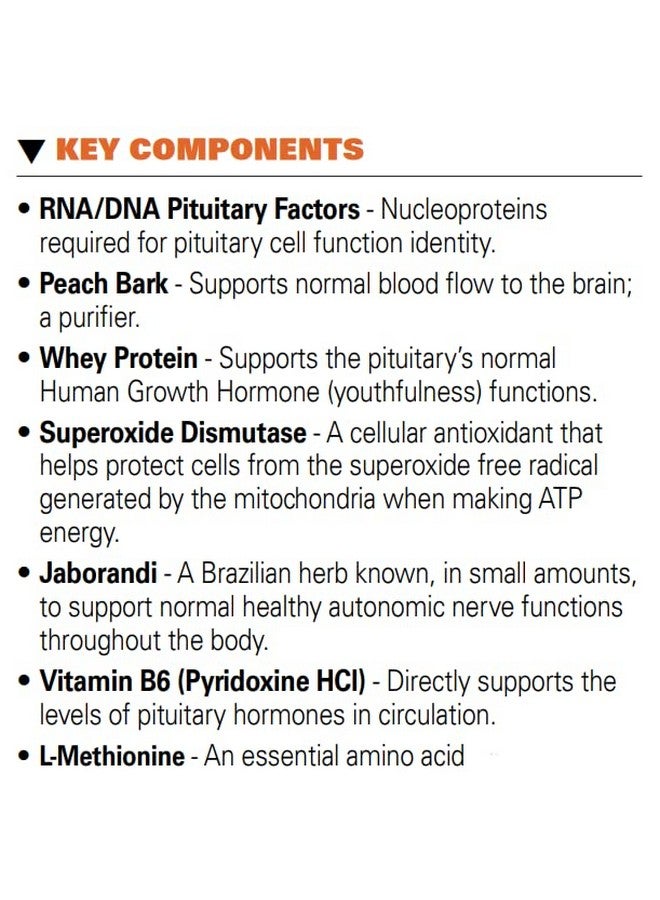 Systemic Formulas 32 Bio Function Gb PituitaryPineal 60 Capsules Supports Mental Clarity And Focus And Normal Circadian Rhythms  - Image 4