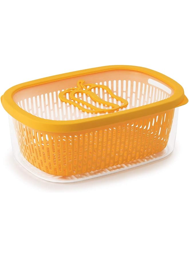 4L Vegetable Keeper SN-021485