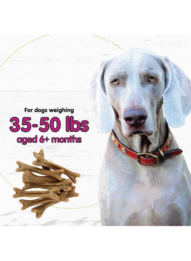 Fido Naturals Belly Bones for Dogs, Yogurt Flavored Medium Dog Dental Treats - 8 Treats Per Pack (3 Pack) - (Made in USA) - Plaque and Tartar Control for Fresh Breath, Digestive Health Support - Image 5