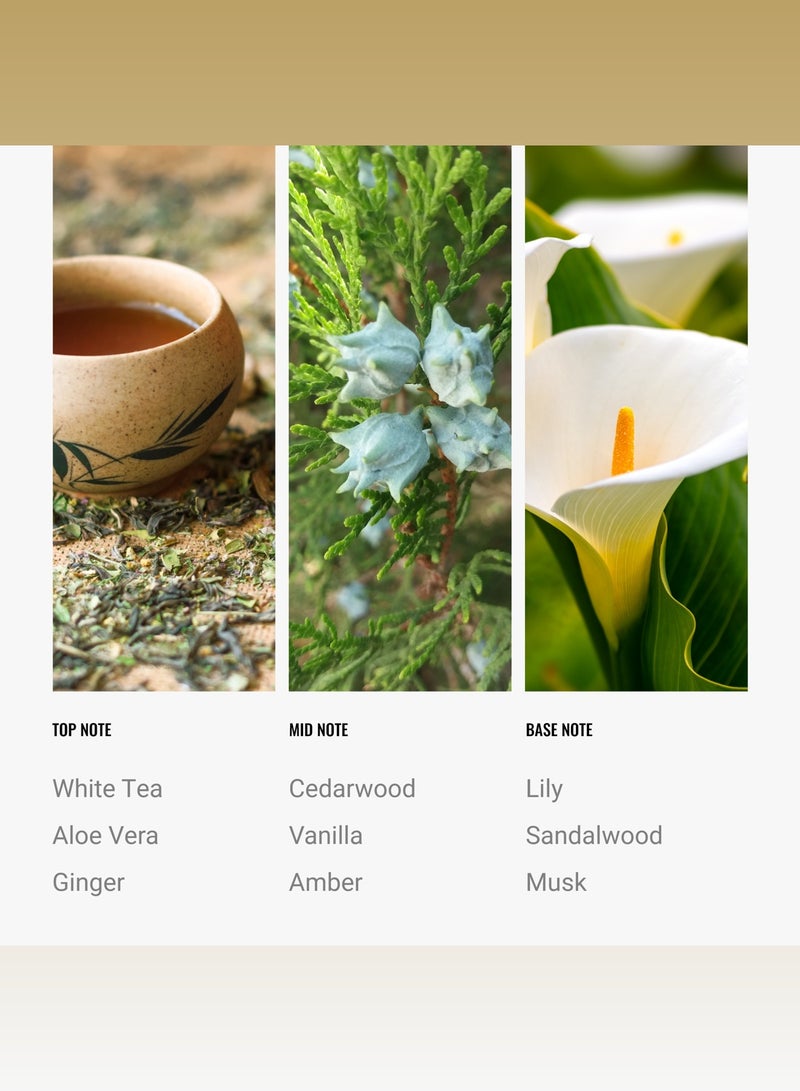 Hotel Collection Dream On Pro-Pod Oil Blend - Hotel Inspired for Luxury Essential Oil Diffusers - Aromatherapy Scent Diffuser Oil - White Tea, Aloe Vera, and Lily  - Image 4