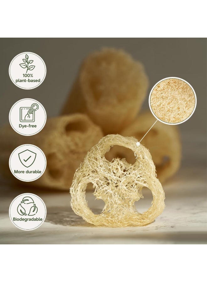 Super Natural Organic Egyptian Loofah Sponges, Large Exfoliating Shower Loofah Body Scrubbers SPA Beauty Bath and radiant skin (One Whole Loofah 40cm) - Image 2