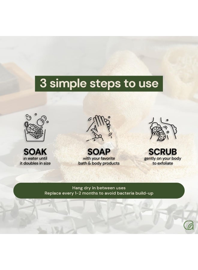 Super Natural Organic Egyptian Loofah Sponges, Large Exfoliating Shower Loofah Body Scrubbers SPA Beauty Bath and radiant skin (One Whole Loofah 40cm) - Image 4