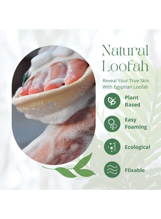 Super Natural Organic Egyptian Loofah Sponges, Large Exfoliating Shower Loofah Body Scrubbers SPA Beauty Bath and radiant skin (One Whole Loofah 40cm) - Image 3