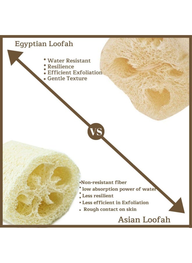 Super Natural Organic Egyptian Loofah Sponges, Large Exfoliating Shower Loofah Body Scrubbers SPA Beauty Bath and radiant skin (One Whole Loofah 40cm) - Image 5