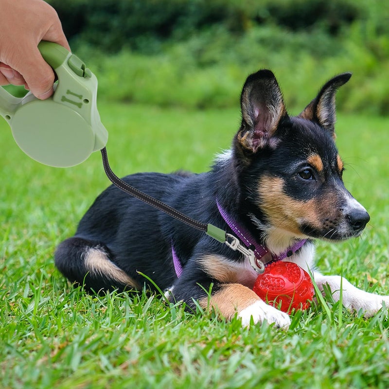 Retractable Dog Leash 3 Meter Anti-Slip Handle Reflective Nylon Tape for Small Medium Dogs Cats - Image 5