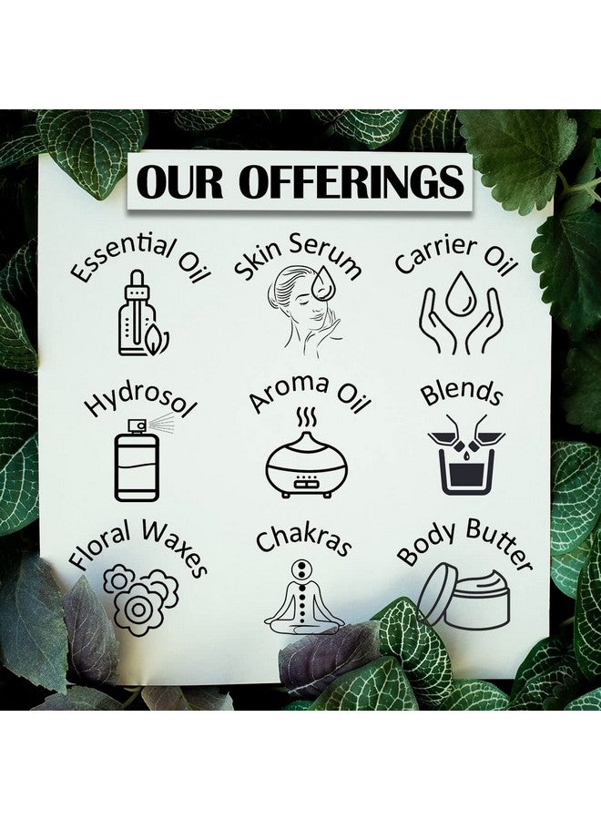 Greenwood Essential Pure Cinnamon Essential Oil (Cinnamomum Zeylanicum) 100% Natural Therapeutic Grade Steam Distilled, 300 Ml - Image 5