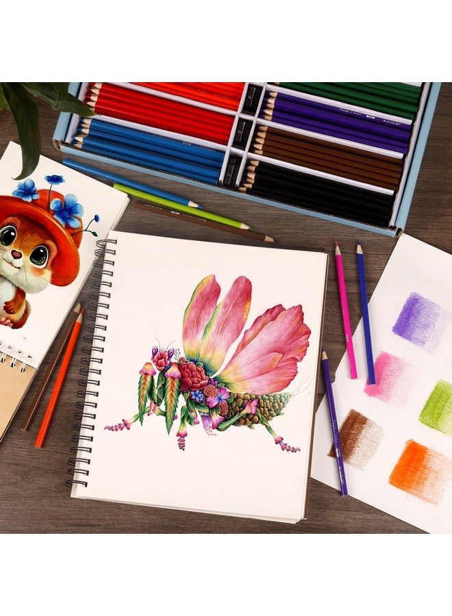 KALOUR Premium Colored Pencils Bulk,12 Assorted Vibrant Colors,240 Count Total,School Classroom Supplies For Kids Teachers,Pre-sharpened Artists Colored Pencils for Adult Coloring Book - Image 5