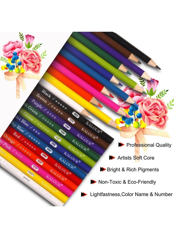 KALOUR Premium Colored Pencils Bulk,12 Assorted Vibrant Colors,240 Count Total,School Classroom Supplies For Kids Teachers,Pre-sharpened Artists Colored Pencils for Adult Coloring Book - Image 2