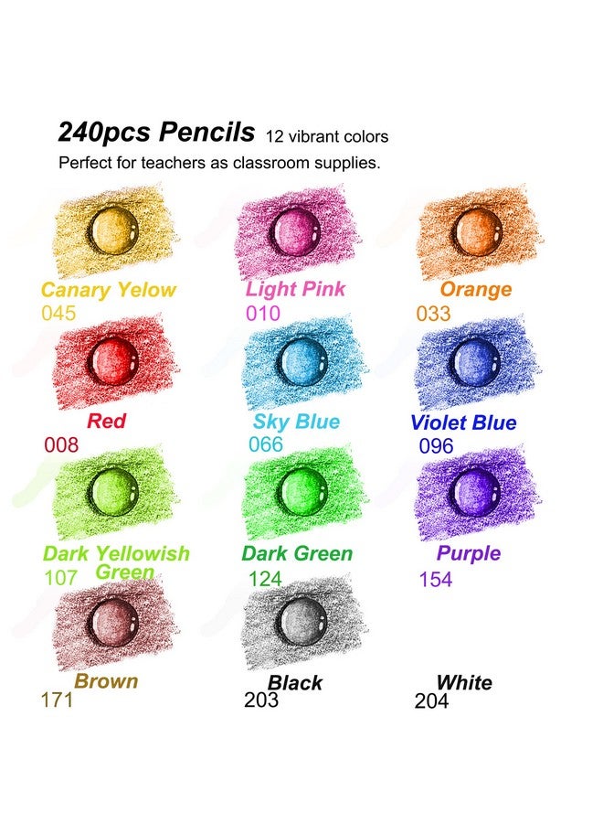 KALOUR Premium Colored Pencils Bulk,12 Assorted Vibrant Colors,240 Count Total,School Classroom Supplies For Kids Teachers,Pre-sharpened Artists Colored Pencils for Adult Coloring Book - Image 3