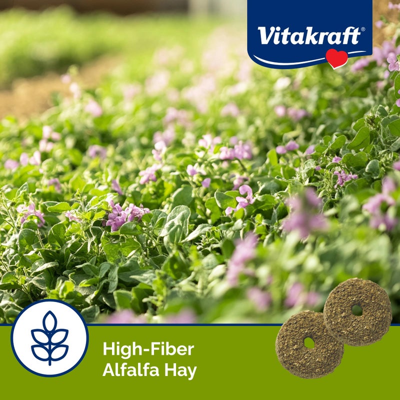 Vitakraft Nibble Rings Small Animal Treats - Crunchy Alfalfa Snack - For Rabbits, Guinea Pigs, Hamsters, and More - Image 4