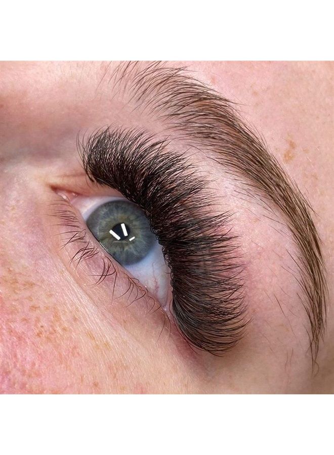 VAVALASH تمديدات الرموش 3D 4D 5D 6D 7D 10D سمك 0.05/0.07/0.1 تجعيد C/D رموش قصيرة الساق ملتصقة حرارياً مروحة جاهزة حجم روسي تمديدات رموش مسبقة الصنع (3D-0.10-C-15mm)