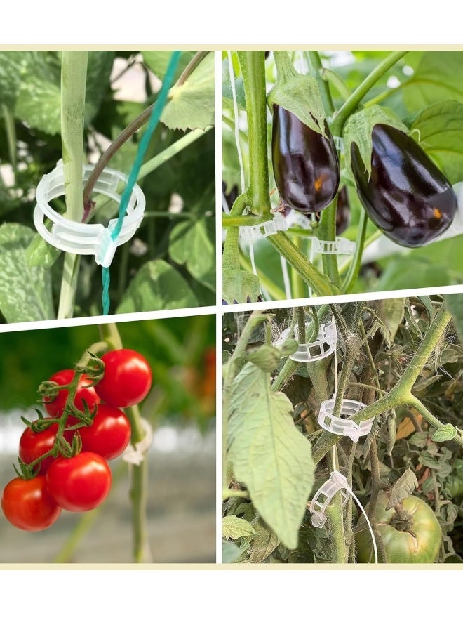 مجموعة تدريب النباتات - 50 عبوات أواني إنبات البذور مع 300 مشبك دعم النباتات لنمو أكثر صحة - Image 5