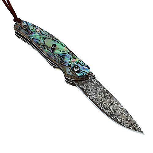 ALBATROSS Folding Pocket Knife - 6.5" Damascus Steel Blade with Abalone Seashell Handle, Handcrafted 71-Layer Modern Knife with Liner Lock System, Luxury Gift Box - HGDK015B - Image 2
