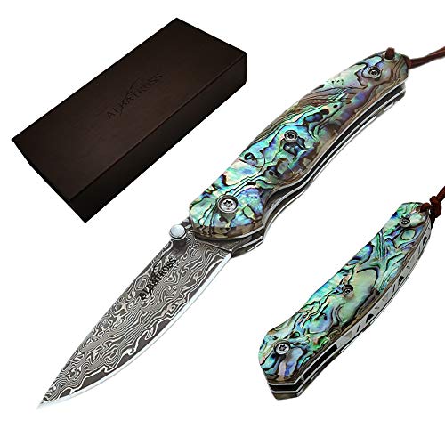 ALBATROSS Folding Pocket Knife - 6.5" Damascus Steel Blade with Abalone Seashell Handle, Handcrafted 71-Layer Modern Knife with Liner Lock System, Luxury Gift Box - HGDK015B - Image 1