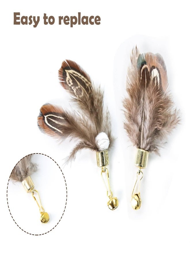 Hokoad Cat Insect Feather Toys Replacement Cat Toy Wand Refills, 6 Pieces Natural Insect Cat Toy Feathers Refill, Interactive Cat Teaser Wand Attachments, with Bell - Image 4