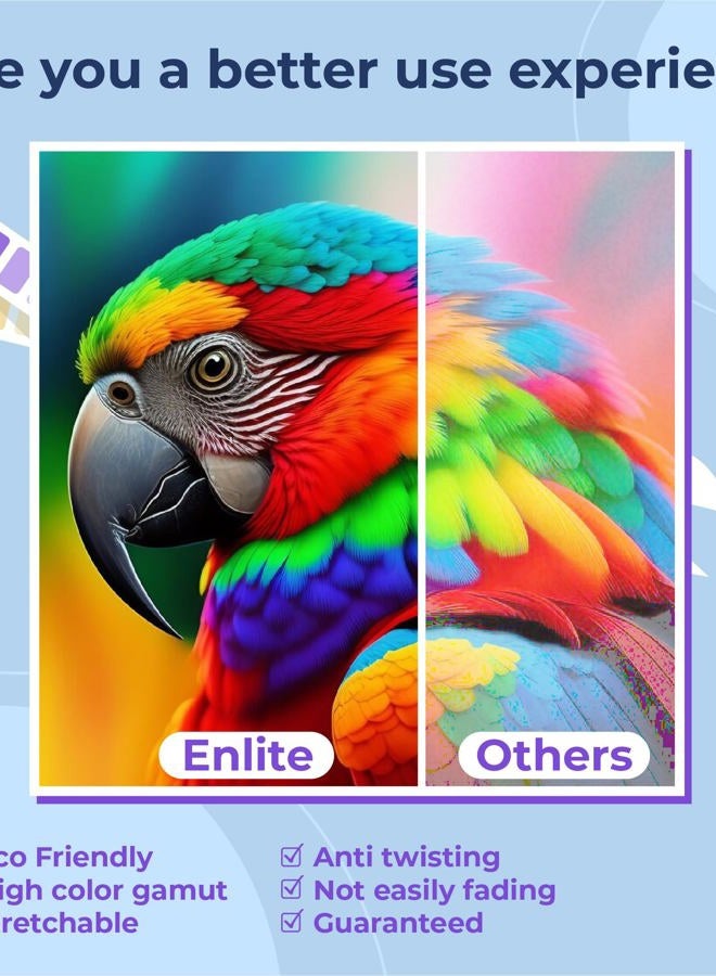 Enlite DTF Ink 250ML Combo Pack, Premium Pigment Ink for PET Film Heat Transfer Printing, Refill for DTF Printer with printhead DX5 DX7 5113 XP600 I3200 4720 TX800, 2W+1B+1C+1M+1Y - Image 4