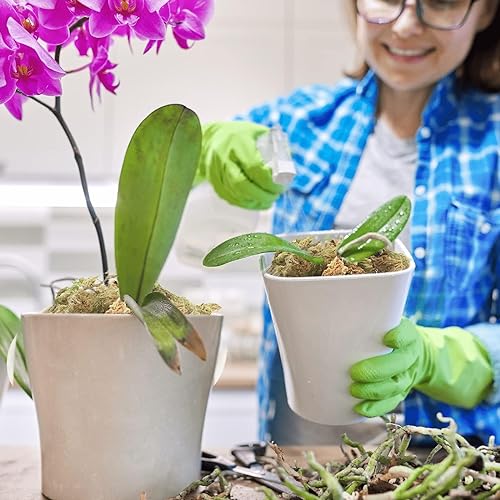 Halatool 2.2LBS Natural Sphagnum Moss for Plants 40 QT Premium Peat Moss Dried Long Fiber Orchid Moss for Orchid Repotting Carnivorous Succulents Garden Flowers Crafts Terrarium and Reptiles - Image 5