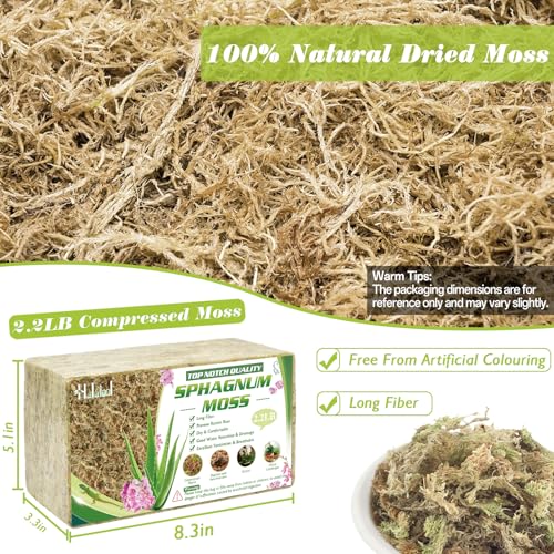 Halatool 2.2LBS Natural Sphagnum Moss for Plants 40 QT Premium Peat Moss Dried Long Fiber Orchid Moss for Orchid Repotting Carnivorous Succulents Garden Flowers Crafts Terrarium and Reptiles - Image 2